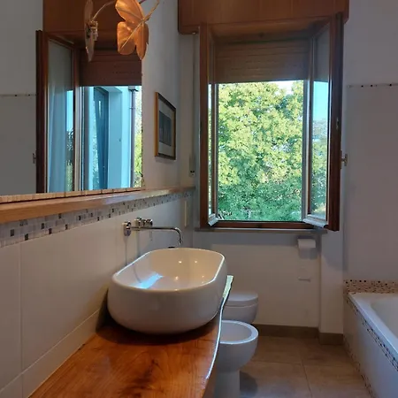 Countryshore * 西尼加利亚