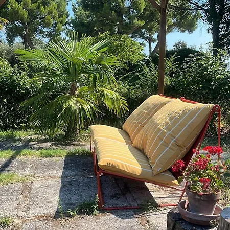 Countryshore * 西尼加利亚