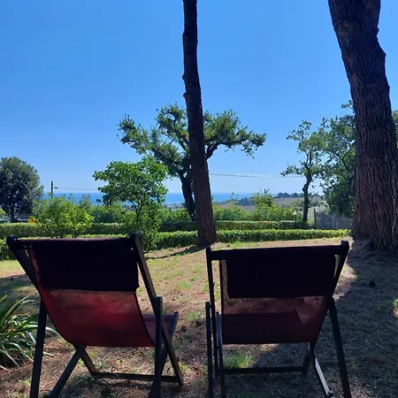 Countryshore 公寓 西尼加利亚